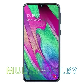 Смартфон Samsung Galaxy A40 4GB/64GB (черный)